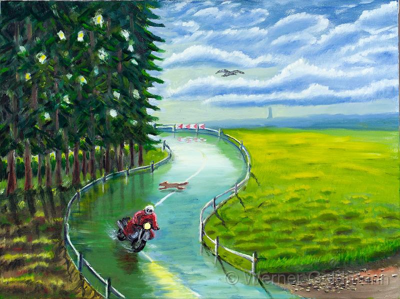 Hohe Tannen (60x80)cm.jpg - Hohe Tannen / High fir (60x80)cm